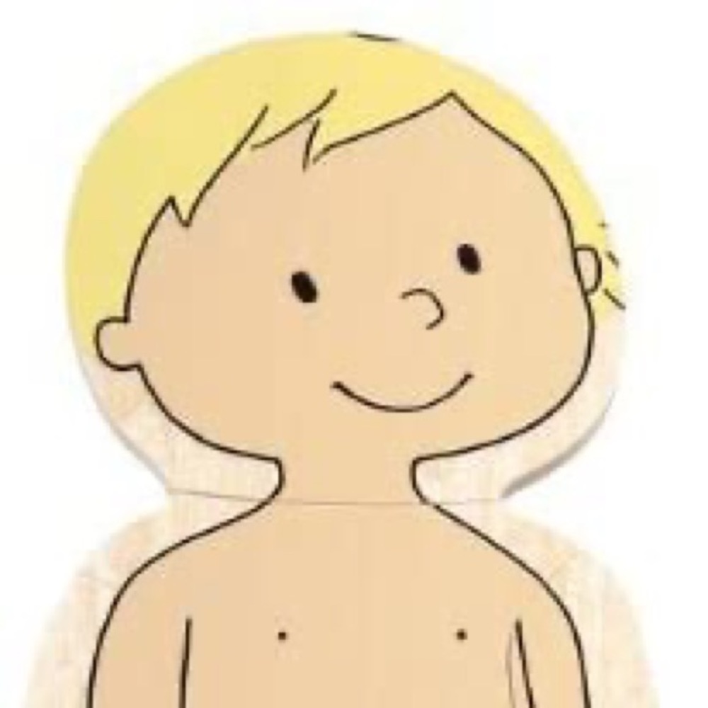 New Hape by Beleduc 5-Layer wooden Body Puzzle - Picture 11 of 11